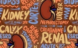 Renal